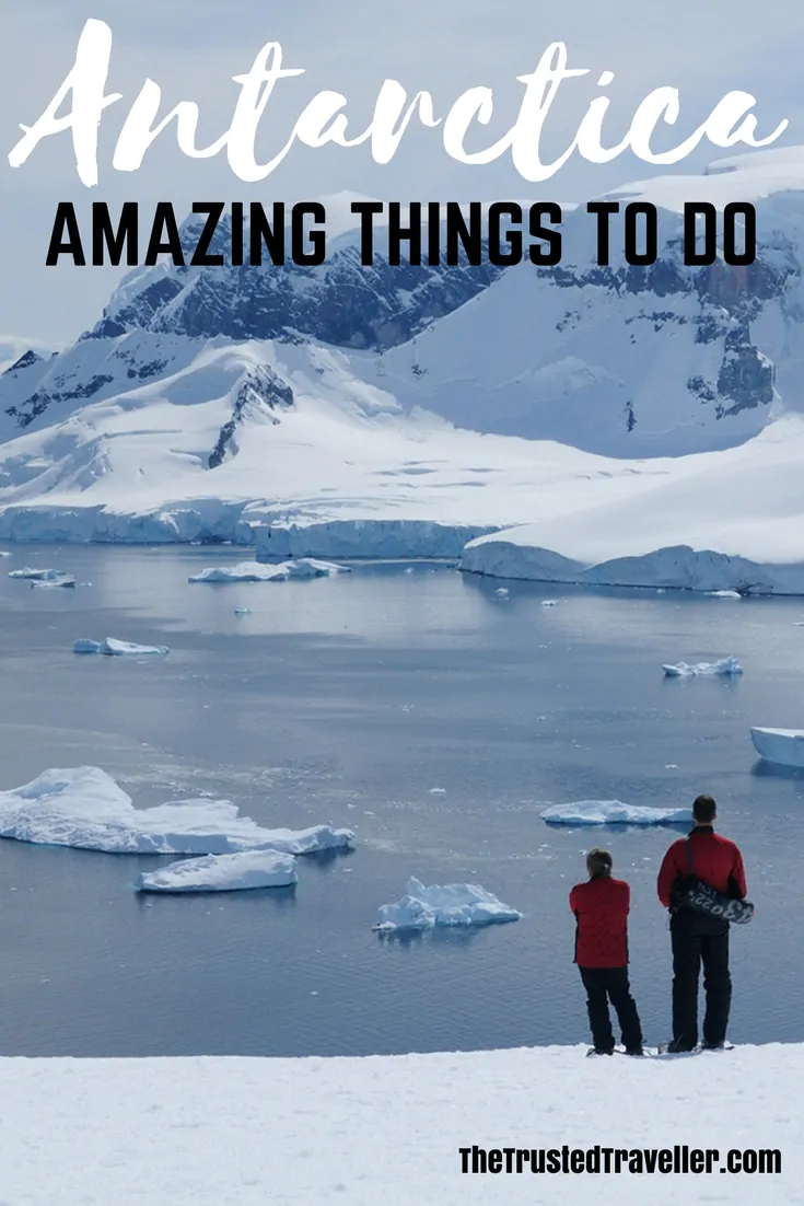 11 Amazing Things to do in Antarctica - The Trusted Traveller