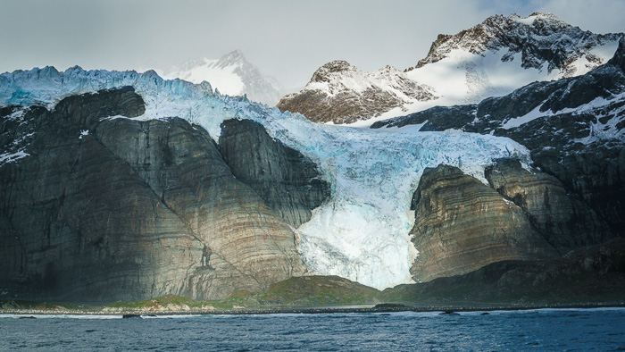 South Georgia, Gold Harbour - 15 Stunning Photos for Those Curious About Antarctic Cruises - The Trusted Traveller