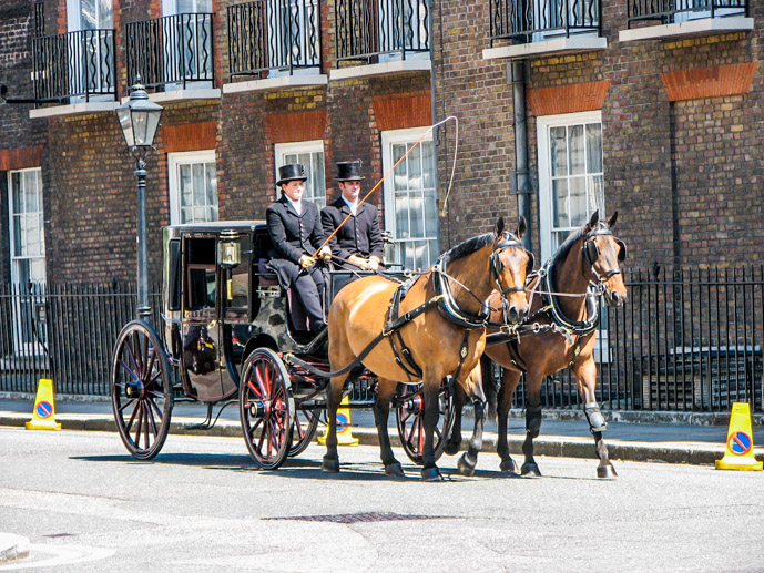 royal horse and carriage