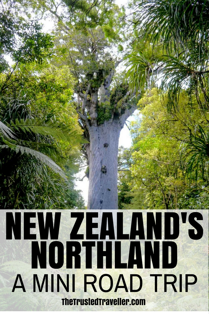 New Zealand's Northland: A Mini Road Trip - The Trusted Traveller