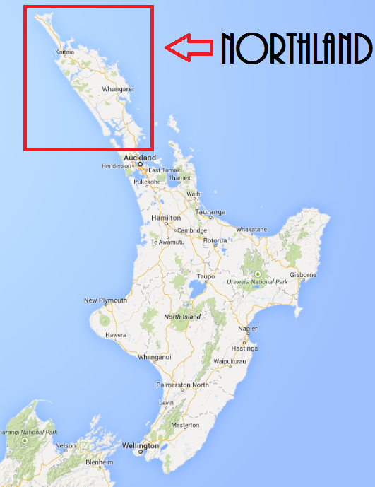 New Zealand Northland Road Trip Itinerary for 2024 - The Trusted