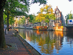 Things to Do in Amsterdam - The Trusted Traveller