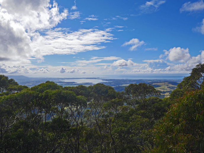 Looking out over the treetops from the first cantileverl - Visiting the Illawarra Fly Treetop Walk - The Trusted Traveller