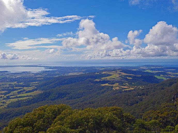 Pretty incredible view from the top of the Knights Tower - Visiting the Illawarra Fly Treetop Walk - The Trusted Traveller