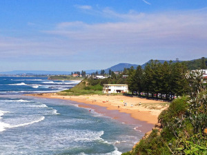 Walking the Sea Cliff Bridge in 2024 - The Trusted Traveller