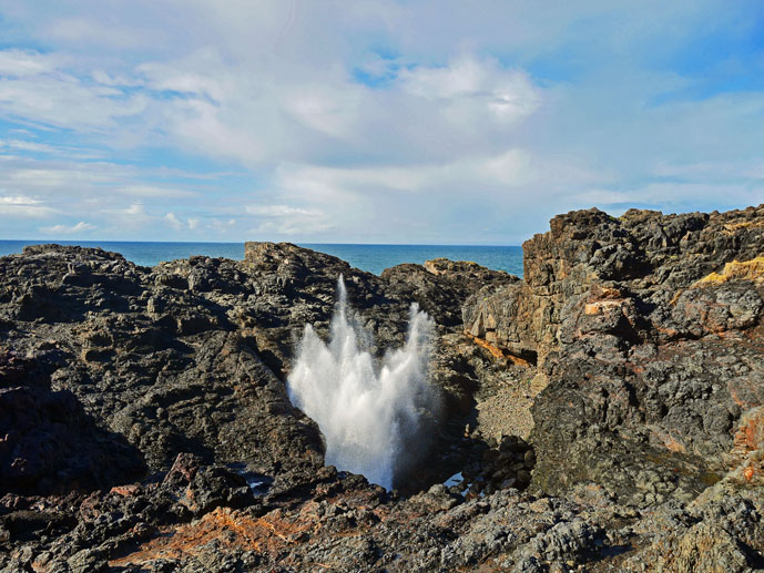 Kiama Blowhole - The Trusted Traveller