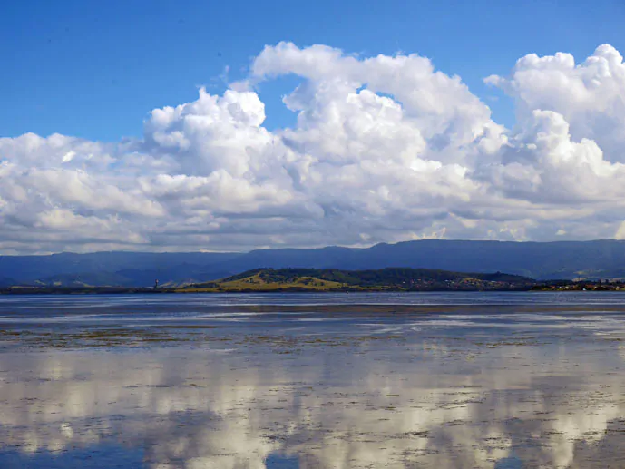 Lake Illawarra - Exploring the Grand Pacific Drive - The Trusted Traveller