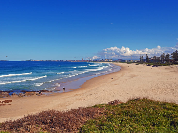 Norhtbeach, Wollongong - The Trusted Traveller