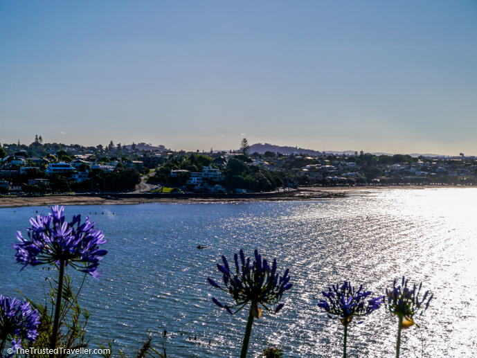 Mission Bay Auckland - Things to Do in Auckland - The Trusted Traveller