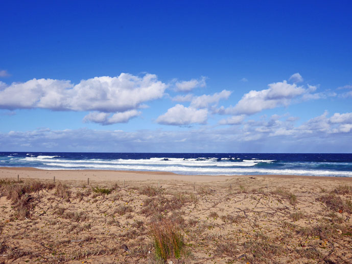 Wild Gare Beach in the Royal National Park - Exploring the Grand Pacific Drive - The Trusted Traveller