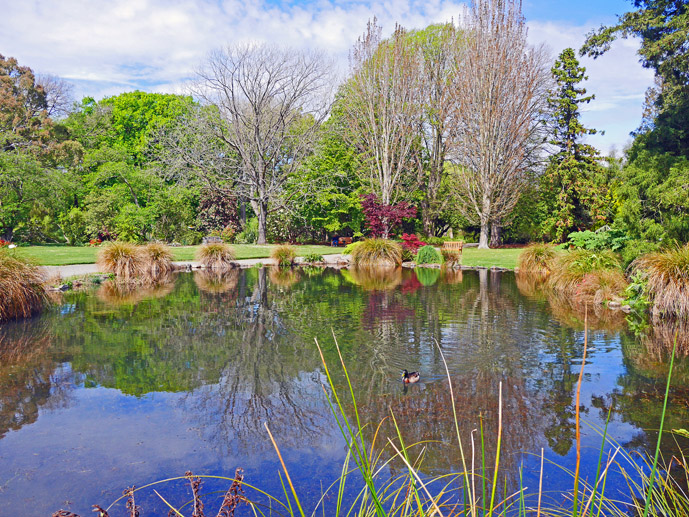Spring Time in Christchurch Botanic Gardens - The Trusted Traveller