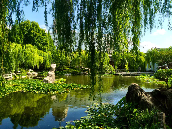 Finding Peace in Sydney's Chinese Garden of Friendship - The Trusted Traveller