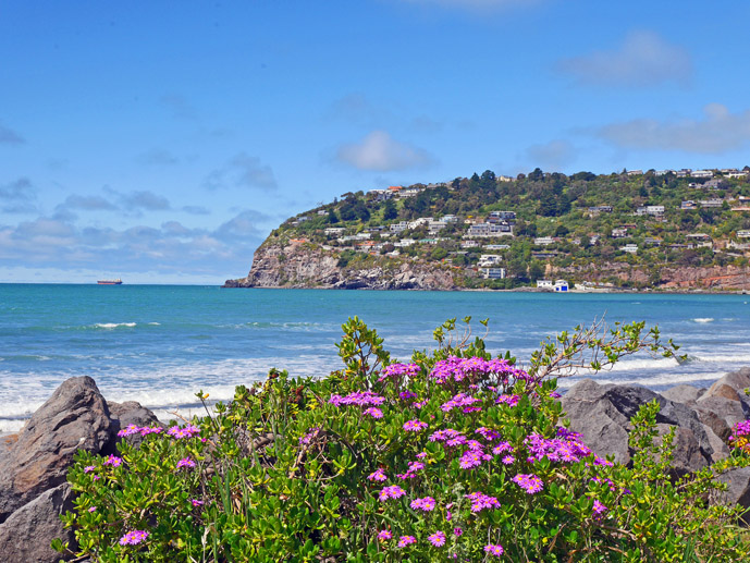 Pretty Sumner Beach - Things to Do in Christchurch - The Trusted Traveller