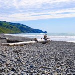 The beach at Gore Bay - Driving from Christchurch to Marlborough - The Trusted Traveller