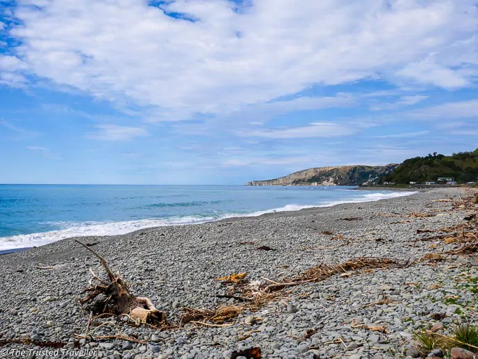 Stunning scenery on the Kaikoura Coast - Driving from Christchurch to Marlborough - The Trusted Traveller