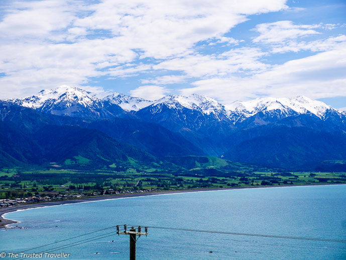The incredible view from Peninsula Lookout at Kaikoura - Driving from Christchurch to Marlborough - The Trusted Traveller