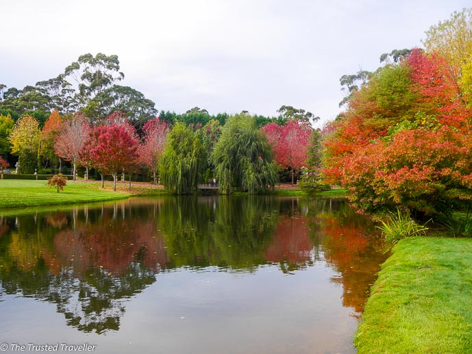 The spectacular autumn colour on display at 'Bellagio' - Things to Do in The Southern Highlands - The Trusted Traveller