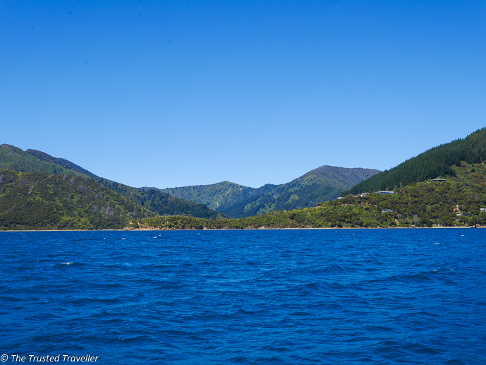 Cruising Marlborough Sounds on a Mail Boat - The Trusted Traveller
