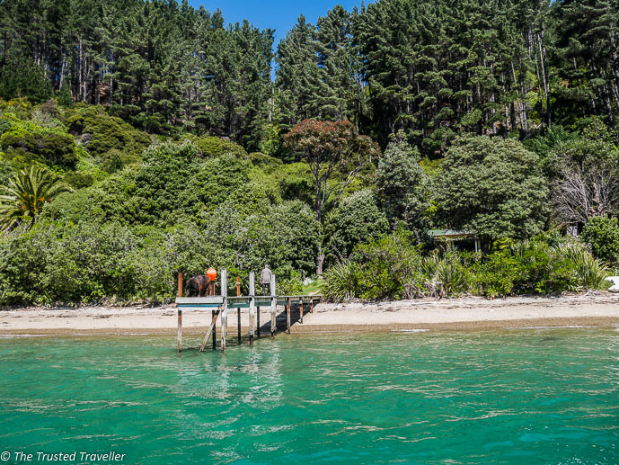 Cruising Marlborough Sounds on a Mail Boat - The Trusted Traveller