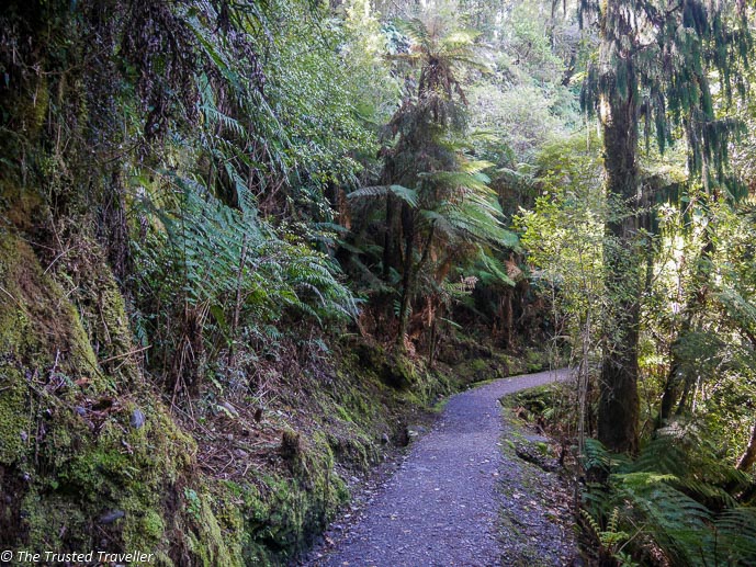 A Walk Around Lake Matheson in Photos - The Trusted Traveller