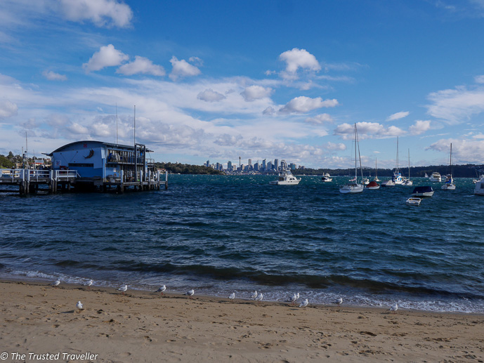 Watson Bay Beach