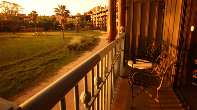 Savanna view from the balcony of Disney's Animal Kingdom Lodge- Where to Stay Near the Orlando Theme Parks - The Trusted Traveller