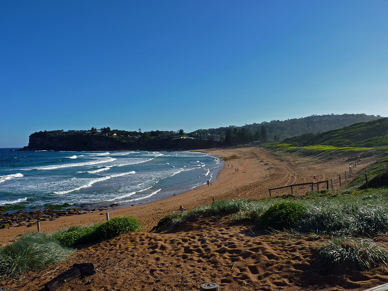 Avalon Beach - Sydney's Best Beaches: The Ultimate List - The Trusted Traveller