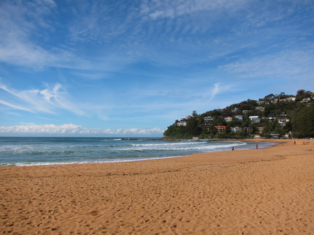 Palm Beach - Sydney's Best Beaches: The Ultimate List - The Trusted Traveller