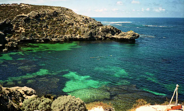 Snorkellers at Fish Hook Bay, Rottnest Island - Top 6 Places To Snorkel In Australia - The Trusted Traveller