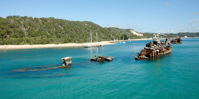 Tangalooma Wrecks off the coast of Moreton Island - Top 6 Places To Snorkel In Australia - The Trusted Traveller