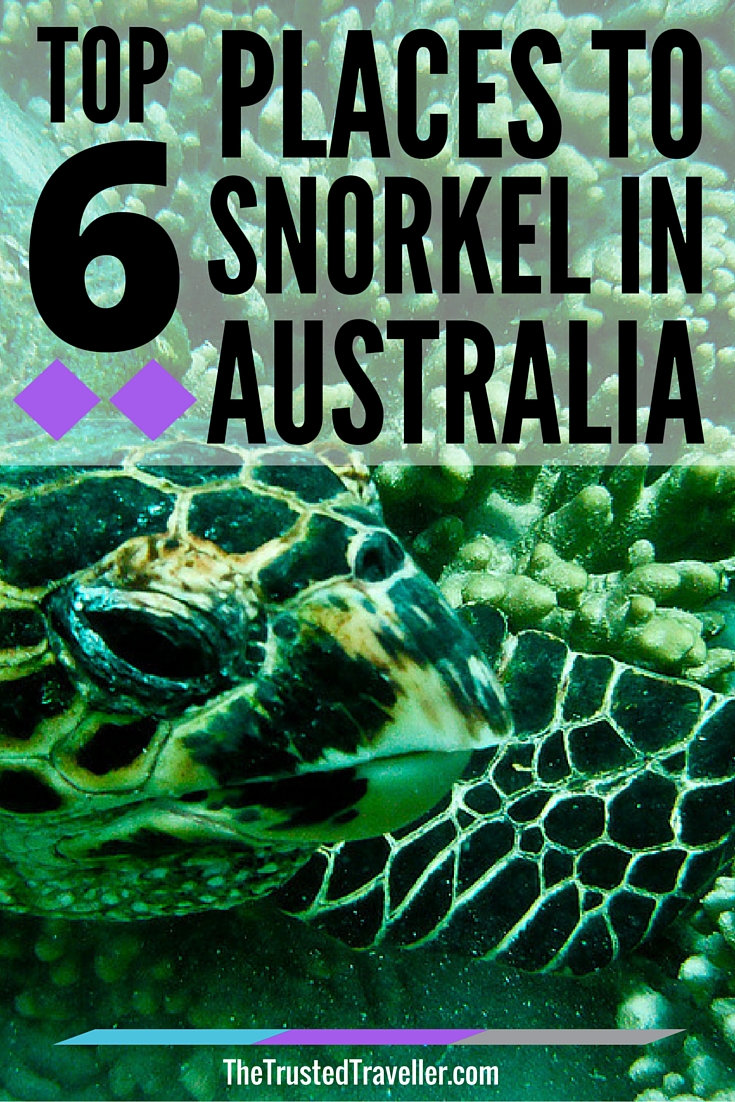 Turtle at Turquoise Bay - Top 6 Places To Snorkel In Australia - The Trusted Traveller