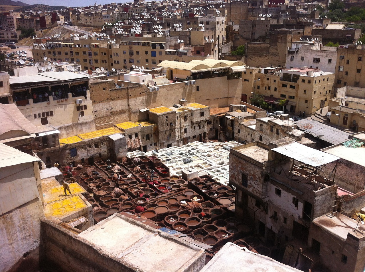 Feast In Fes - 5 Must-Do Experiences in Morocco - The Trusted Traveller