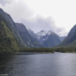 Cruising Milford Sound - Our Journey to Milford Sound - In Photos - The Trusted Traveller