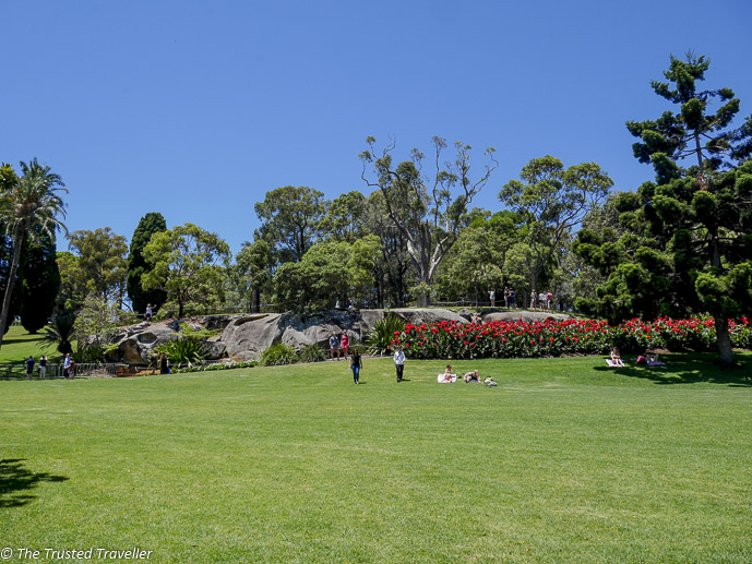 Sydney's Royal Botanic Gardens - 35 Free Things to Do in Sydney - The Trusted Traveller