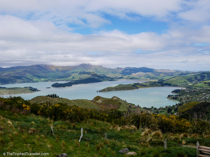 View from the Port Hills looking down over Lyttelton Harbour - What to See on a Day Trip to Akaroa from Christchurch - The Trusted Traveller