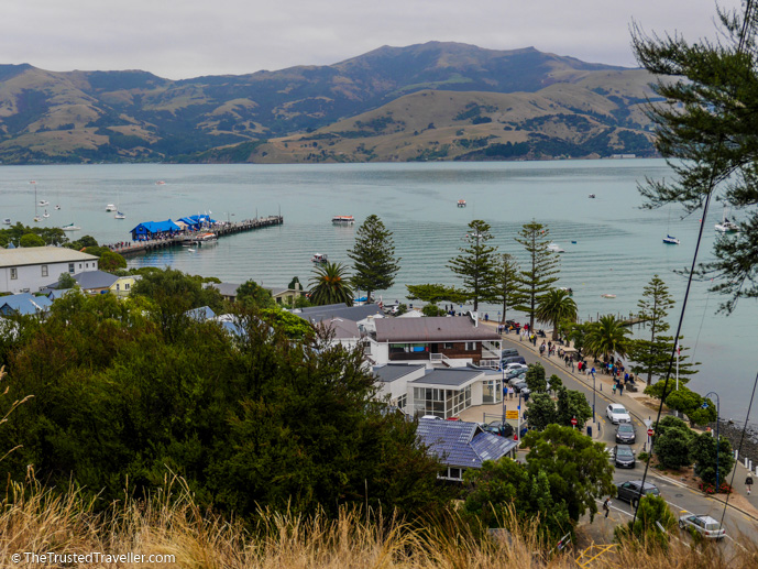 Akaroa - What to See on a Day Trip to Akaroa from Christchurch - The Trusted Traveller