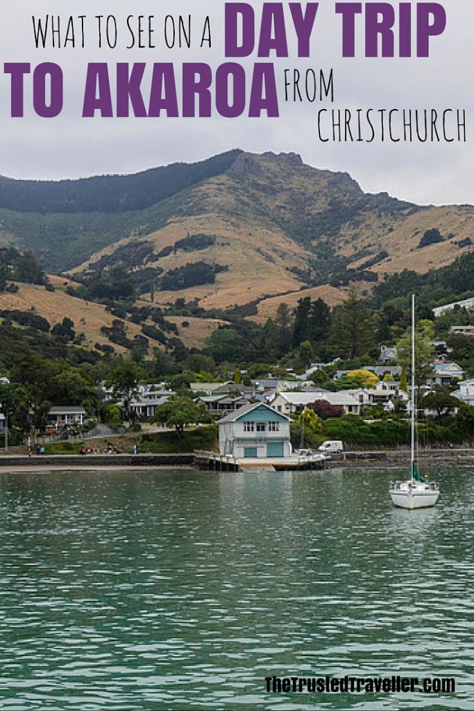 Day Trip to Akaroa from Christchurch in 2023 The Trusted Traveller
