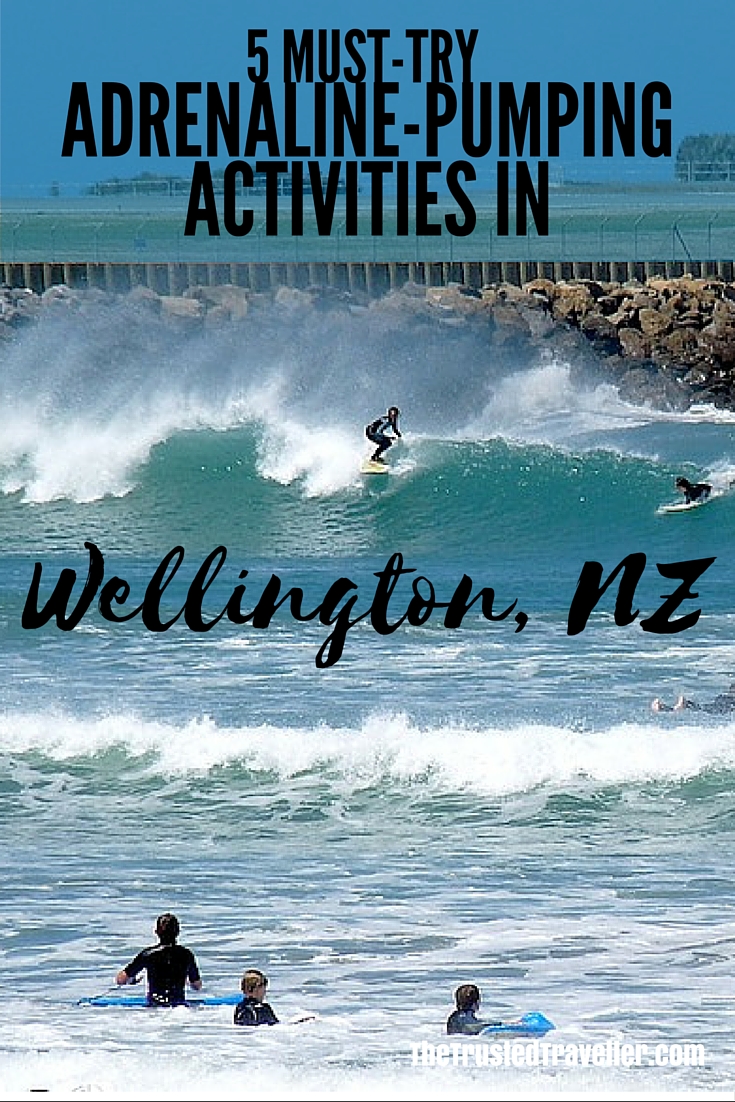 Lyall Bay - 5 Must-Try Adrenaline-Pumping Activities in Wellington NZ - The Trusted Traveller