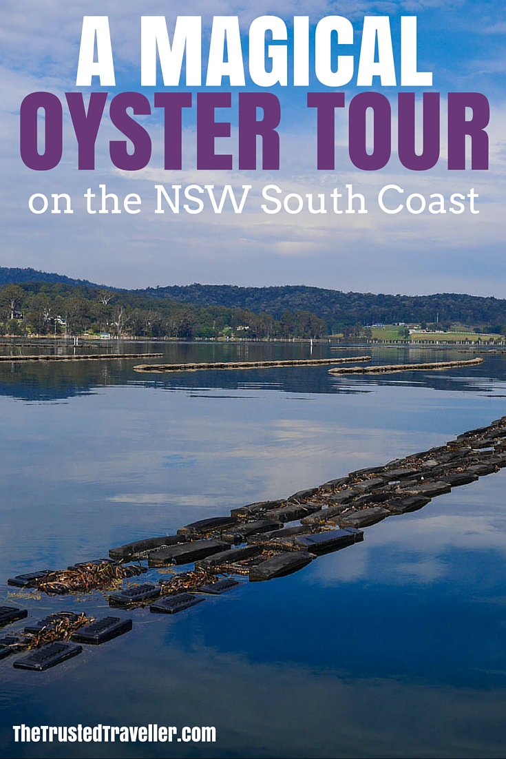 Oyster leases in the Pambula Lake - A Magical Oyster Tour on the NSW South Coast - The Trusted Traveller