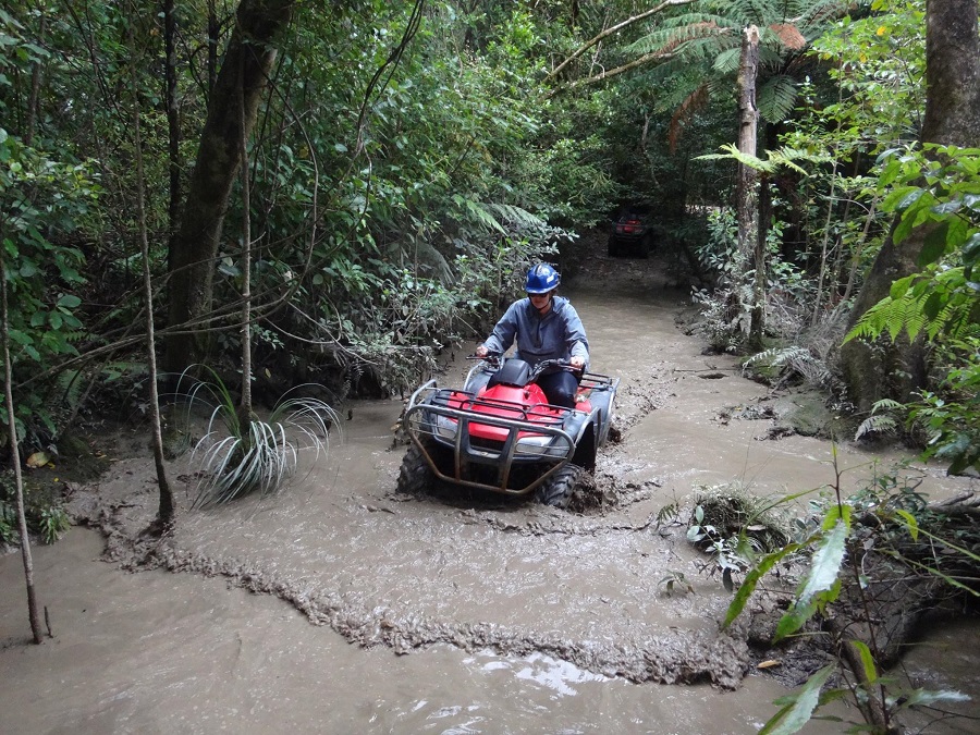 Kapiti Quad Bike - 5 Must-Try Adrenaline-Pumping Activities in Wellington NZ - The Trusted Traveller