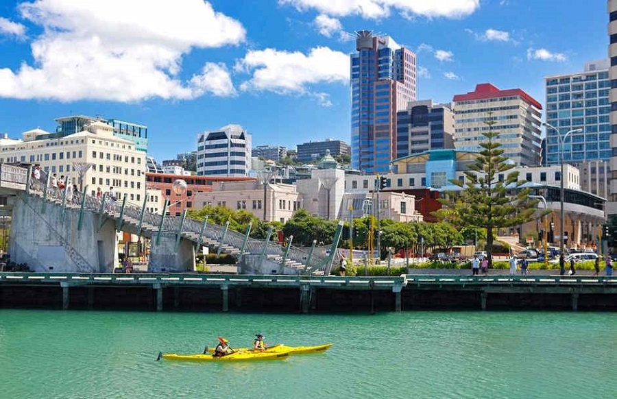 Kayak Wellington - 5 Must-Try Adrenaline-Pumping Activities in Wellington NZ - The Trusted Traveller