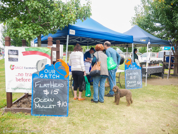 Sage Farmers Market - Things to Do in Eurobodalla on the NSW South Coast - The Trusted Traveller