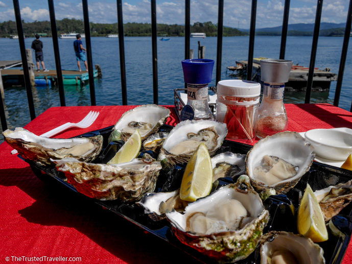 Eat oysters at The Oyster Shed - Things to Do in Eurobodalla on the NSW South Coast - The Trusted Traveller