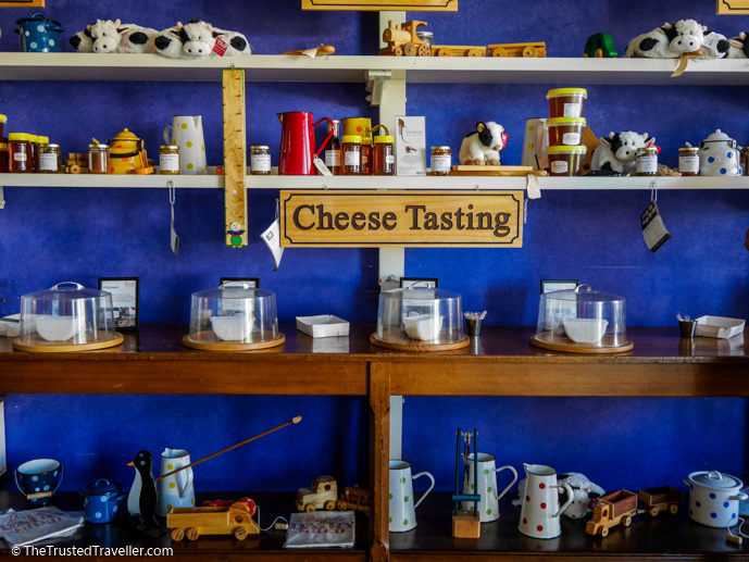 Cheese tasting at the Bodalla Dairy Shed - Things to Do in Eurobodalla on the NSW South Coast - The Trusted Traveller