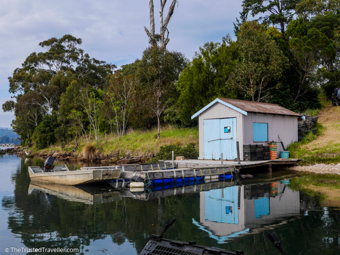 Sponge's oyster hut on the Pambula Broadwater - A Magical Oyster Tour on the NSW South Coast - The Trusted Traveller