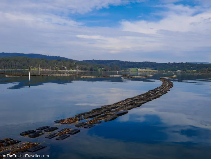 Oyster leases in the Pambula Lake - The Trusted Traveller