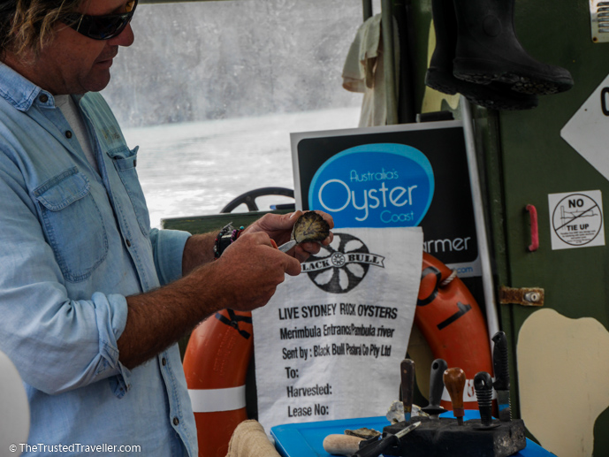 Sponge demonstrating how to shuck an oyster - A Magical Oyster Tour on the NSW South Coast - The Trusted Traveller