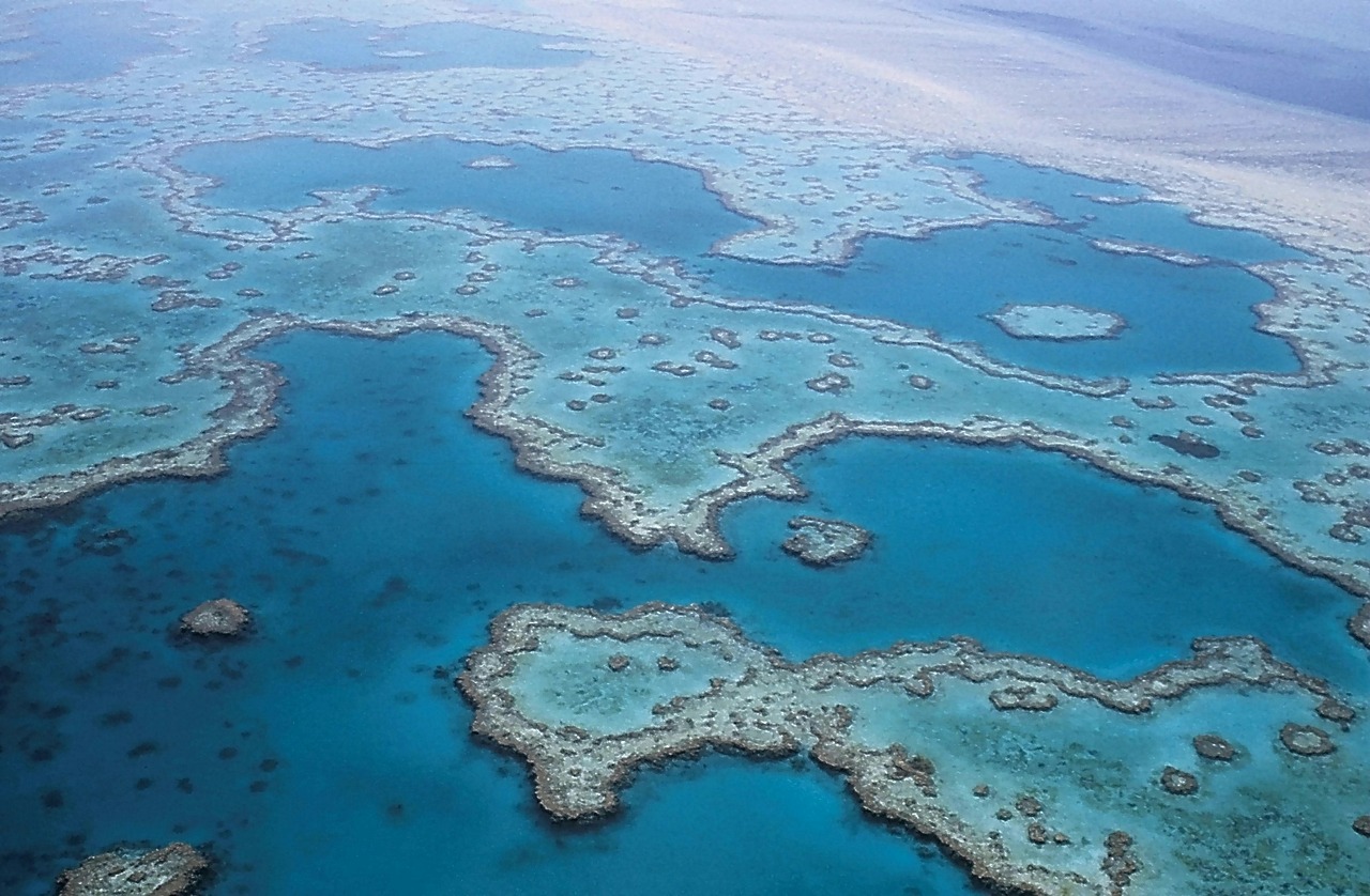 The Great Barrier Reef - Top 5 DreamTrips Destinations in Australia and New Zealand - The Trusted Traveller