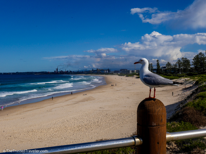 City Beach, Wollongong - The 16 Best NSW South Coast Beaches - The Trusted Traveller