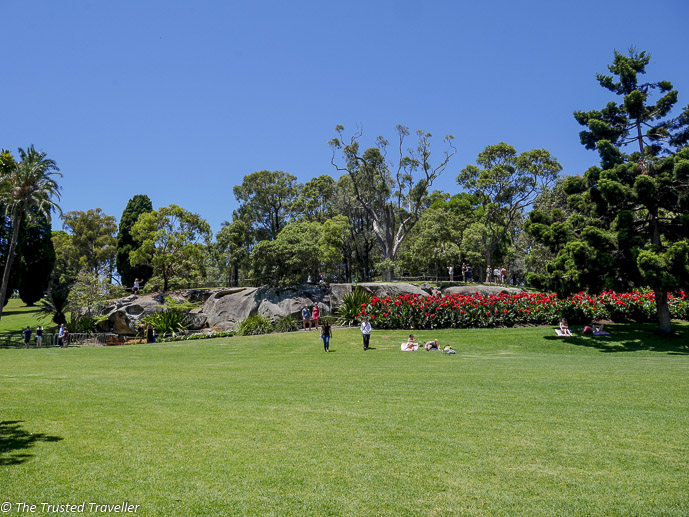The Royal Botanic Gardens - 48 Hours in Sydney: The Perfect Weekend Getaway - The Trusted Traveller